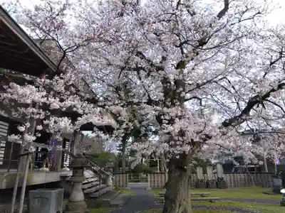妙経寺(福井県)
