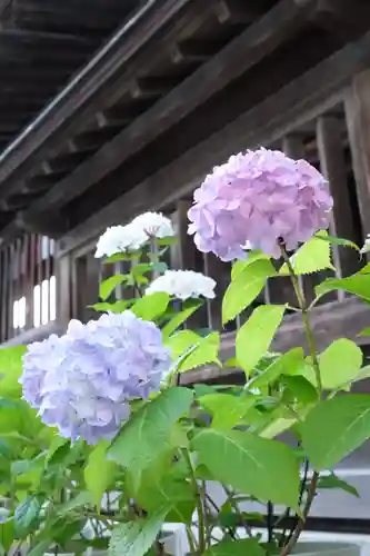 十日恵比須神社(福岡県)