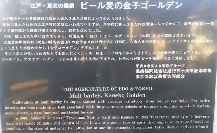 豊玉氷川神社の歴史