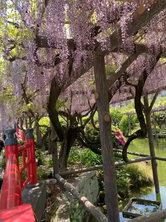 亀戸天神社の自然