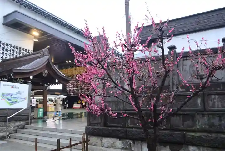 成田山深川不動堂(新勝寺東京別院)(東京都)
