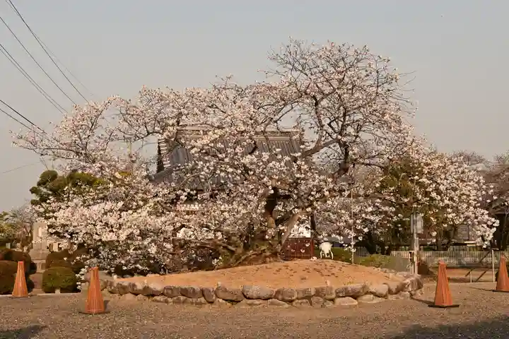 実報寺(愛媛県)