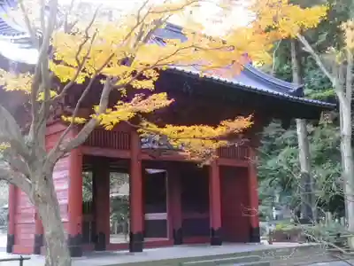 妙本寺の山門・神門