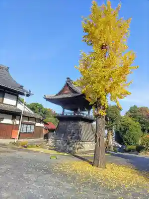 春江院のその他建物