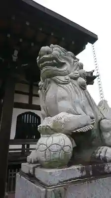 大経寺の狛犬