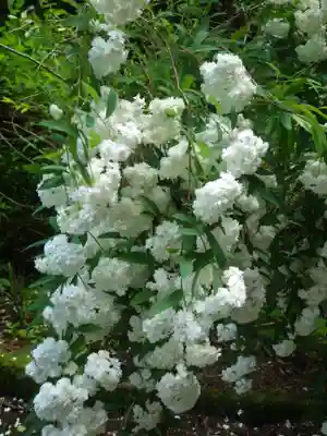 薬王寺(山口県)