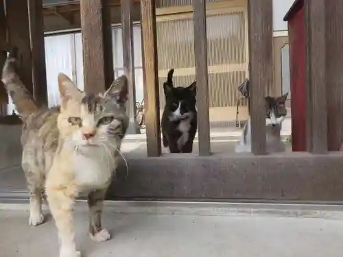妙雲寺(岐阜県)