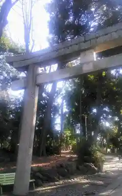 代々木八幡宮の鳥居