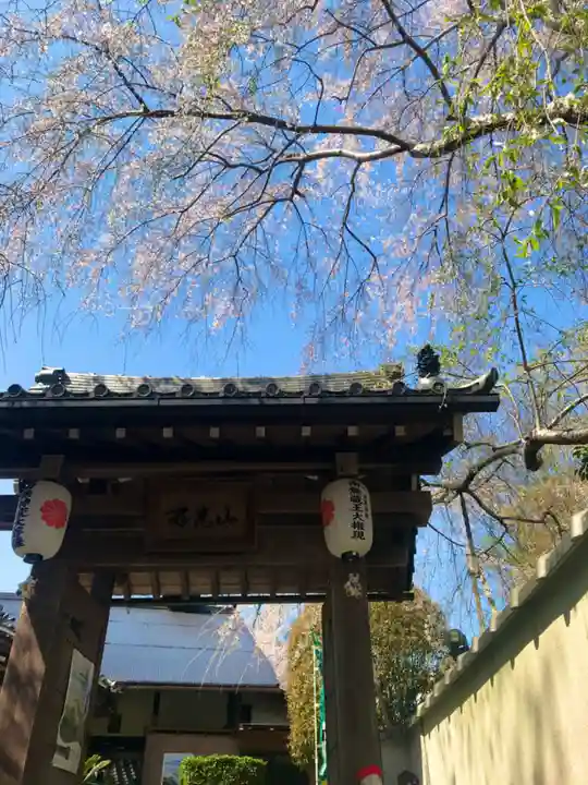 善福寺の本殿・本堂