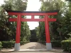 井草八幡宮の鳥居