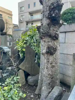 金蔵寺(東京都)