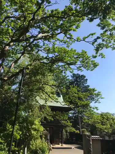 武蔵国分寺の山門・神門