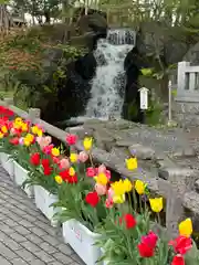 富士山東口本宮 冨士浅間神社(静岡県)