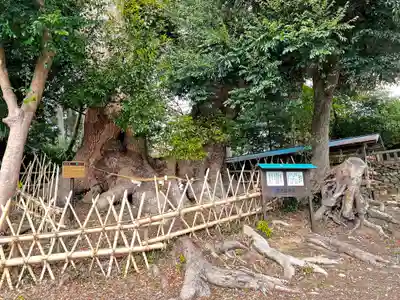 賀久留神社(静岡県)