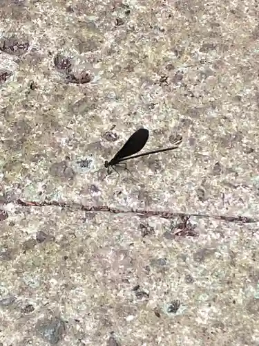 光丸山 法輪寺(栃木県)