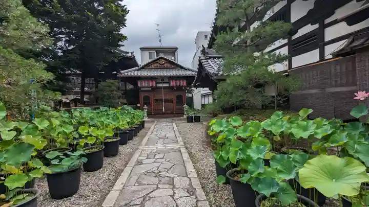 行願寺(革堂)のその他建物