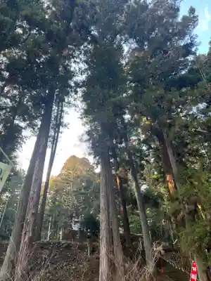 大宮温泉神社(栃木県)