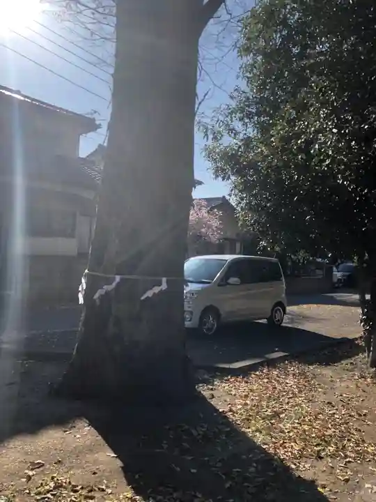 今城青坂稲実池上神社の自然