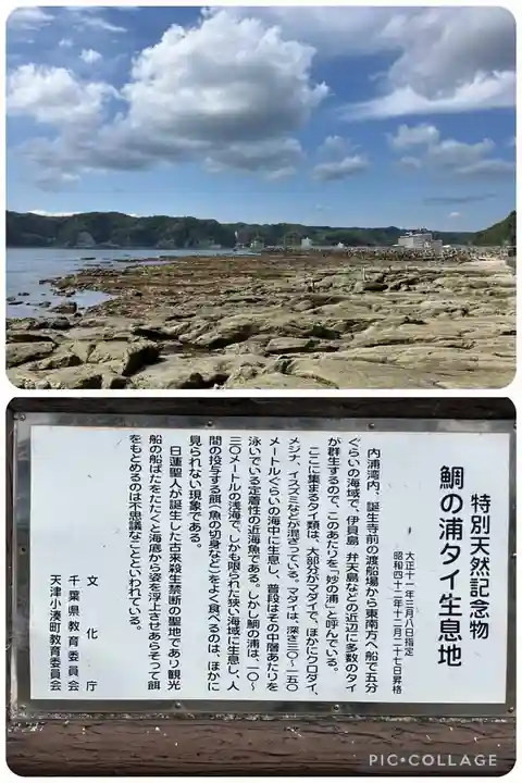 誕生寺(千葉県)