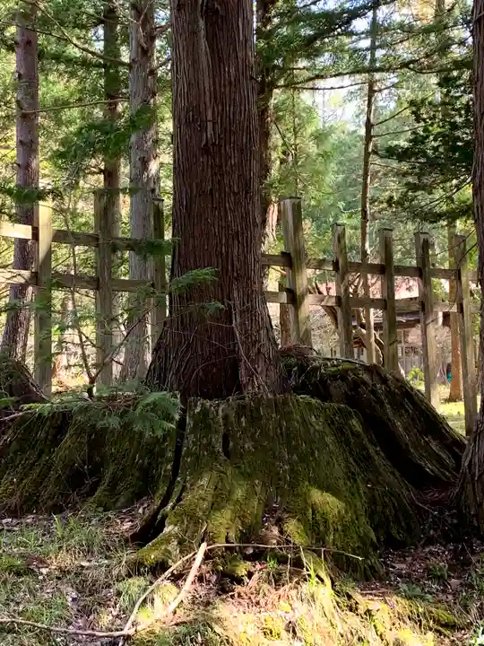 早池峰神社の自然