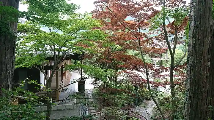 崇禅寺の庭園
