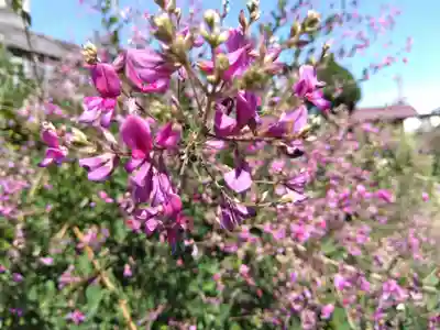 瑞源寺(福井県)