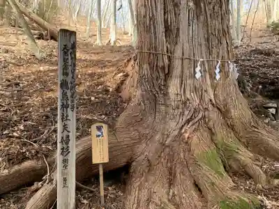 鵜鳥神社の自然