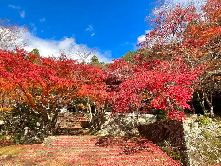 東光寺(滋賀県)