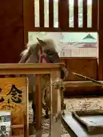 平塚八幡宮の{uncategorized: "未分類", other: "その他", undefined: "問題あり", building: "その他建物", grave: "お墓", sacred_gate: "鳥居", guardian: "狛犬", statue: "像", buddha: "仏像", history: "歴史", nature: "自然", garden: "庭園", animal: "動物", pagoda: "塔", temizu: "手水舎", mountain_gate: "山門・神門", sanctuary: "本殿・本堂", subordinate: "末社・摂社", art: "芸術", scenery: "景色", jizo: "地蔵", ema: "絵馬", goshuin: "御朱印", omikuji: "おみくじ", items: "授与品その他", amulet: "お守り", goshuincho: "御朱印帳", eats: "食事", festival: "お祭り", votive_dance: "神楽", shichigosan: "七五三参", wedding: "結婚式", experience: "体験その他", initially: "初詣", around: "周辺", anti_infection: "感染症対策"}