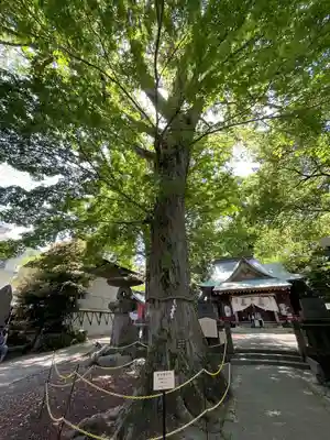 今宮神社(静岡県)