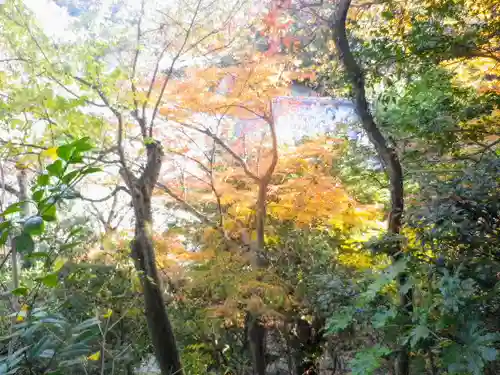 安國論寺（安国論寺）の自然