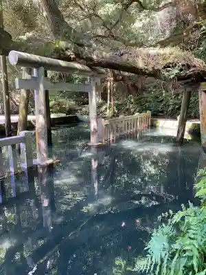 鹿島神宮(茨城県)