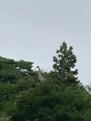 進雄神社(群馬県)