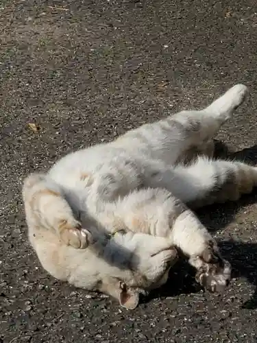 熊野神社の動物