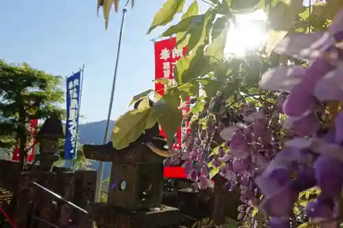 青岸渡寺の自然