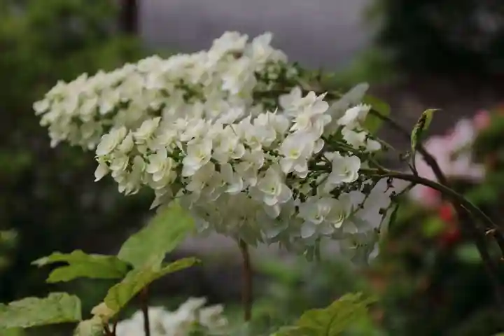 豊景神社の庭園