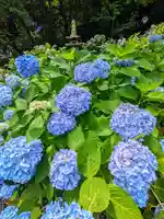 長谷寺(神奈川県)