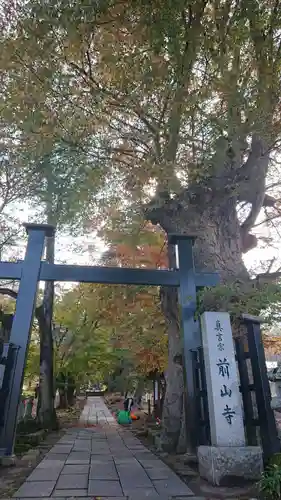 前山寺の建物その他