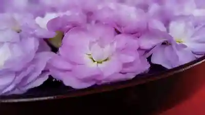 阿邪訶根神社の手水舎