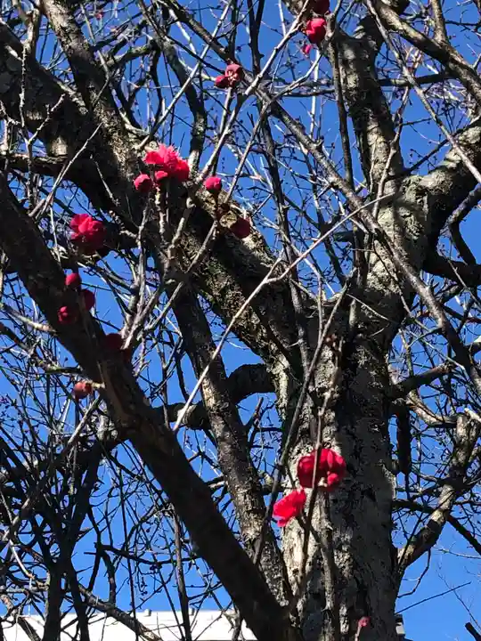 境香取神社の自然