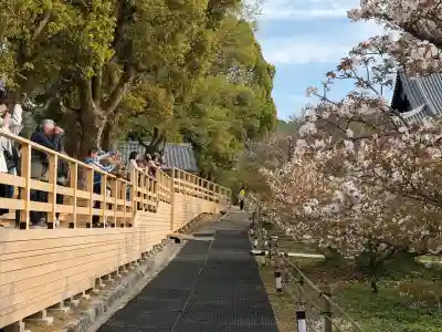 仁和寺の{uncategorized: "未分類", other: "その他", undefined: "問題あり", building: "その他建物", grave: "お墓", sacred_gate: "鳥居", guardian: "狛犬", statue: "像", buddha: "仏像", history: "歴史", nature: "自然", garden: "庭園", animal: "動物", pagoda: "塔", temizu: "手水舎", mountain_gate: "山門・神門", sanctuary: "本殿・本堂", subordinate: "末社・摂社", art: "芸術", scenery: "景色", jizo: "地蔵", ema: "絵馬", goshuin: "御朱印", omikuji: "おみくじ", items: "授与品その他", amulet: "お守り", goshuincho: "御朱印帳", eats: "食事", festival: "お祭り", votive_dance: "神楽", shichigosan: "七五三参", wedding: "結婚式", experience: "体験その他", initially: "初詣", around: "周辺", anti_infection: "感染症対策"}