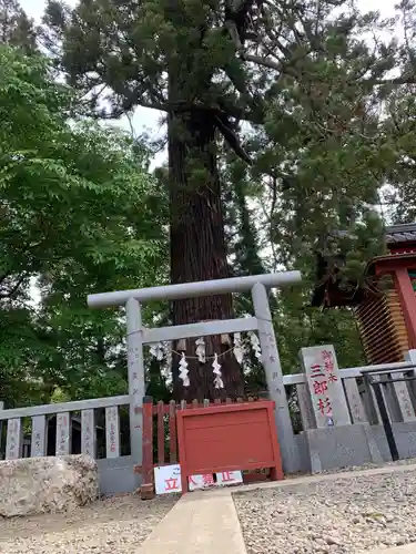 大杉神社の自然