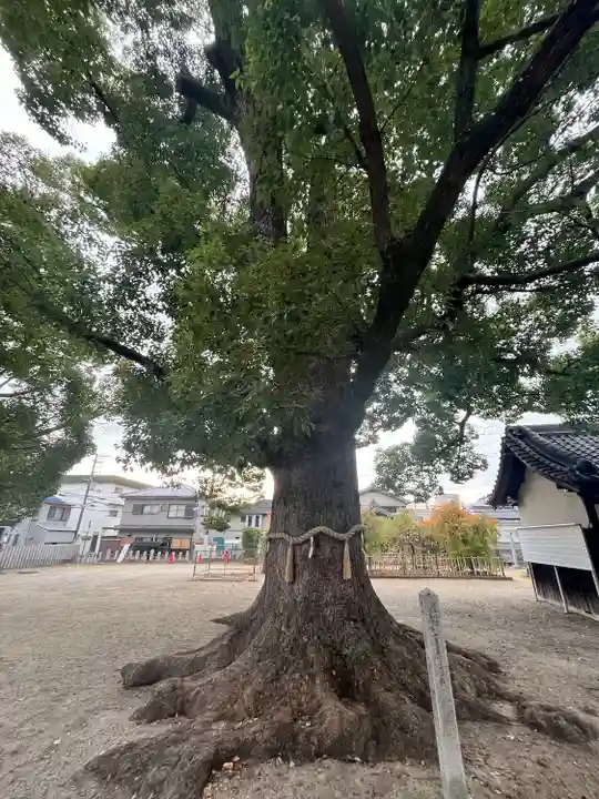 華表神社(大阪府)