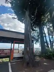 熊野那智神社(宮城県)