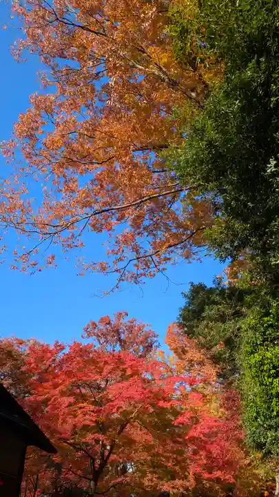 北野天満宮(京都府)