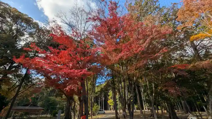 大原野神社(京都府)