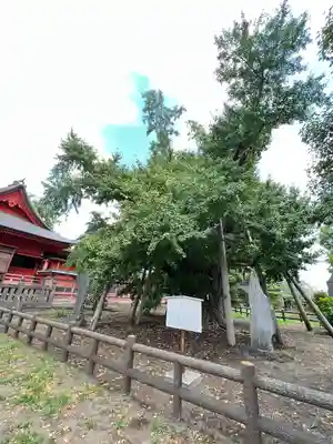 飯香岡八幡宮(千葉県)