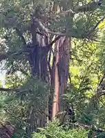 蚊里田八幡宮(長野県)