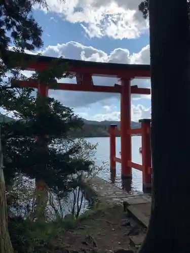 箱根神社の鳥居