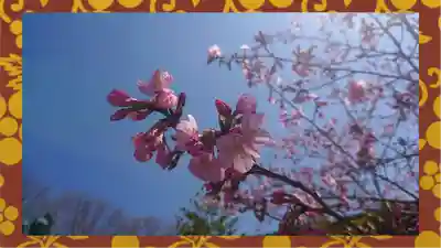 常陸国出雲大社(茨城県)